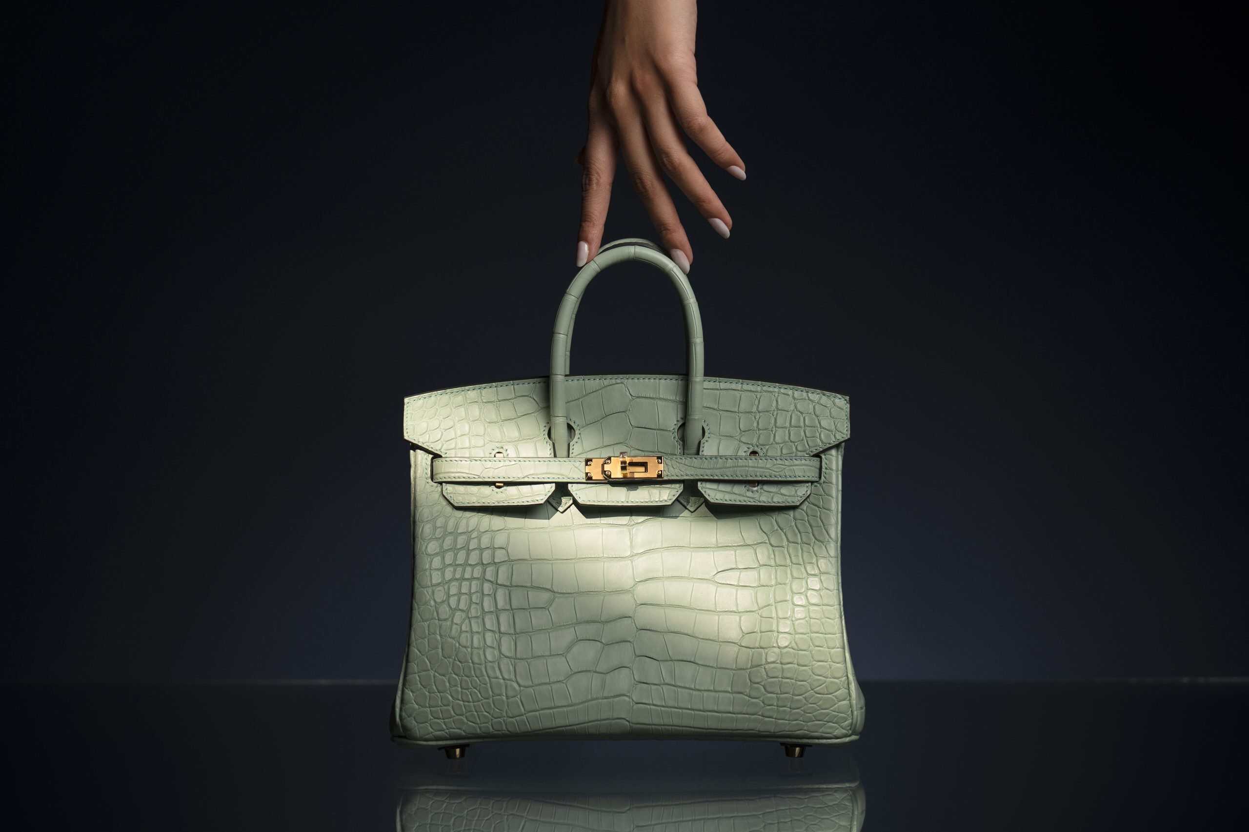 hermes birkin guide